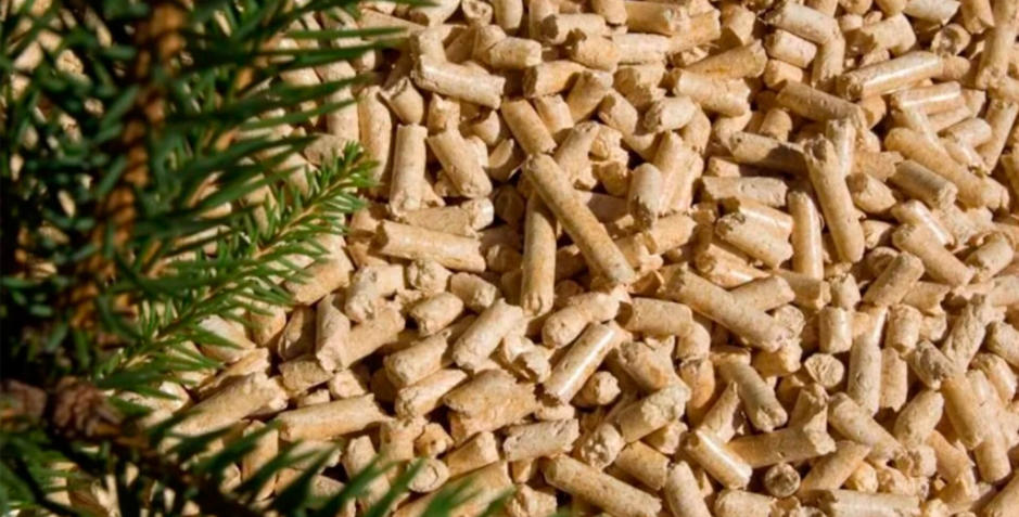 Peleti gorivo iz biomase
