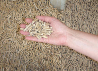 Proizvodnja in prodaja peletov iz smrekovega lesa kvalitete A1. Iz žagovine iz slovenskih žag.