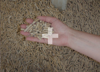 Proizvodnja in prodaja peletov iz smrekovega lesa kvalitete A1. Iz žagovine iz slovenskih žag.