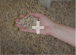 Proizvodnja in prodaja peletov iz smrekovega lesa kvalitete A1. Iz žagovine iz slovenskih žag.